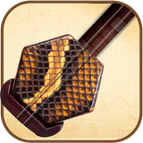 com.mma.erhu