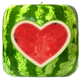 com.koolio.watermelonprober