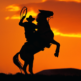com.sidiqdeveloper.western