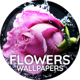 com.goodwallpapers.flowers_4k