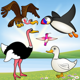 com.batoki.kids.toddlers.puzzle.birds