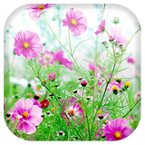 com.androidwasabi.livewallpaper.sweetflowers