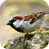 com.andromo.dev230101.app308797