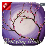 com.RelaxingMusic
