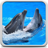 com.DolphinsLiveWallpaperHDHQ