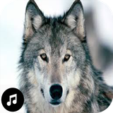 com.wolf.woringtones