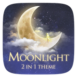 com.gau.go.launcherex.theme.weather2in1.moonlight