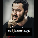 co.ad.navidfilm