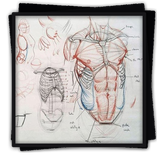 com.pongiterusdev.drawingtutorialhumanbody
