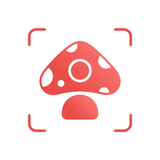 com.glority.picturemushroom