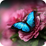 com.cyou.cma.clauncher.theme.v53f72b95ef67c83448034222