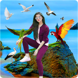 birdphotoeditor.qjlzp.mgqpfa