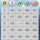 com.ShadowGaming.Bingo2
