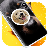 paris.dog.clock.lwp