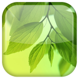 com.androidwasabi.livewallpaper.s4leaf