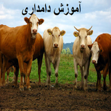 ir.shaprek.damdari
