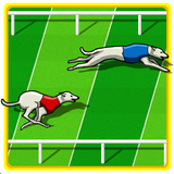 com.l2translations.androidgames.dograce