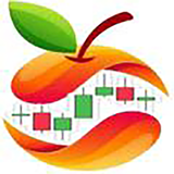 narengi.app.ir
