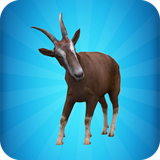 ak.mygoatsim