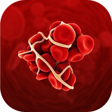 com.hiox.nternialNmalizedRiNRCalculi
