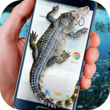 zohani.app.cro