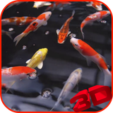 koi.wibr.com