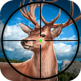 god.animal.kield62