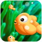 com.hamed.fishdemo