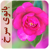 com.imnet.banoyesorkh