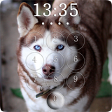 com.agfa.husky
