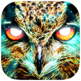 air.com.indiegoes.spiritanimal