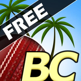 com.nextwave.BeachCricketFree