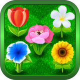 ru.tigorr.apps.bouquets