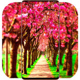 com.SpringWallpaper.naturewallpaper.flowerwallpaper.background