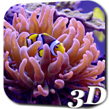 aquariumnemo.bha.com
