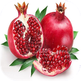 golestan.anar