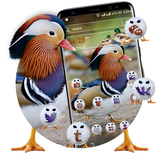 com.prettythemes.mandarin.duck