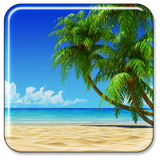 com.BeachLiveWallpapernn