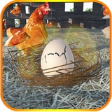 klb.crack.the.egg