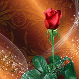 com.RosesLiveWallpaper