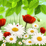 com.bereket.cicek