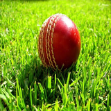 game.ashish.howzat