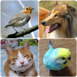 com.bbqarmy.animalsounds