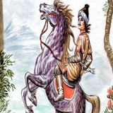 com.hmn.nagillar