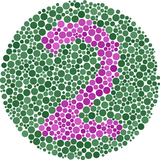 commystuff.wix.hdzd.colorblindtest