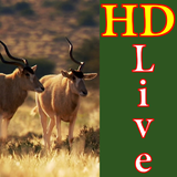 zr.gsg.wildlife