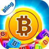 com.bling.bitcoinblocks