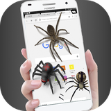 com.jirocoder.spiderinphone