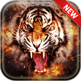 com.andromo.dev518376.app501102