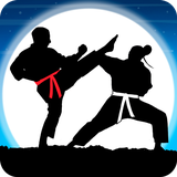 net.playtouch.karatefighterrb